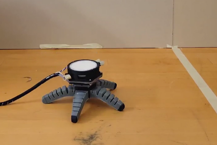 Xem robot lai sinh học được điều khiển bằng sợi nấm