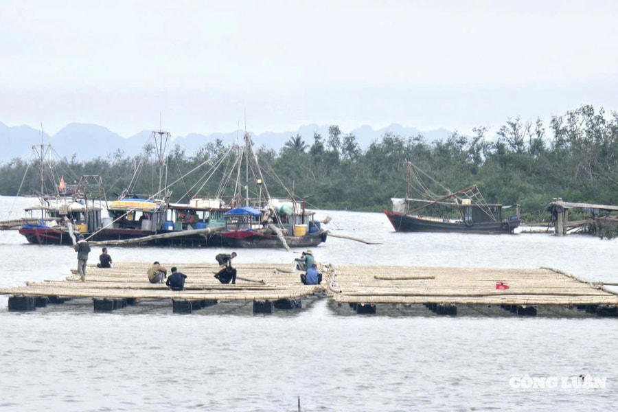 Quảng Ninh hướng dẫn thực hiện thủ tục giao biển nuôi trồng thủy sản