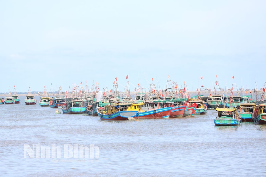 Ninh Bình khẩn trương, quyết liệt xử lý vi phạm trong cao điểm chống khai thác IUU