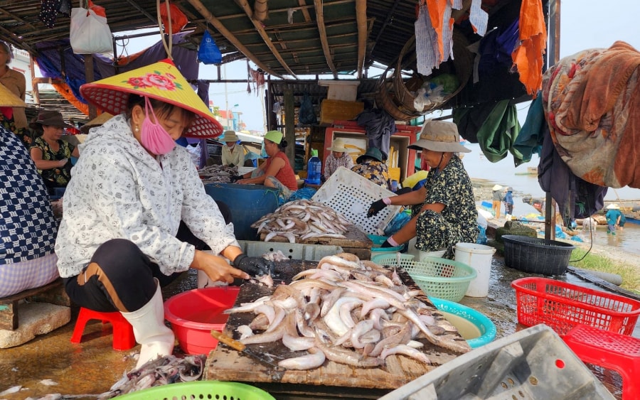 19 xã đặc biệt khó khăn vùng bãi ngang, ven biển, hải đảo đã thoát nghèo