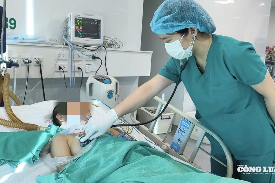 Bé gái 11 tuổi mắc bệnh dại sau khi chó cưng chết bất thường