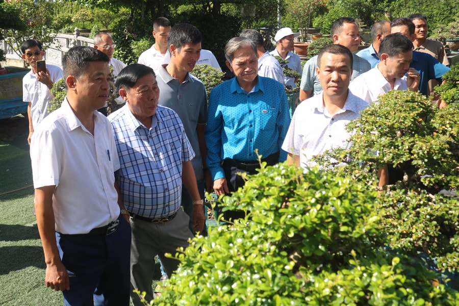 Bắc Ninh: Trưng bày 99 tác phẩm cây cảnh nghệ thuật và thả 99 đàn chim bồ câu chào mừng Đại hội Đảng bộ tỉnh