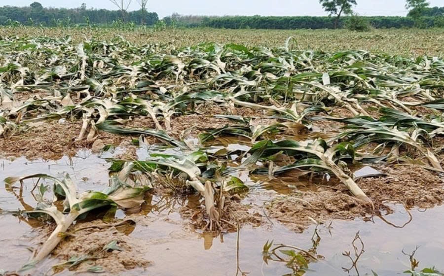 Khánh Hòa ban hành văn bản khẩn, yêu cầu chủ động ứng phó mưa bão