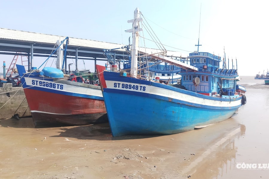 Cần Thơ thực hiện cao điểm chống khai thác thủy sản bất hợp pháp