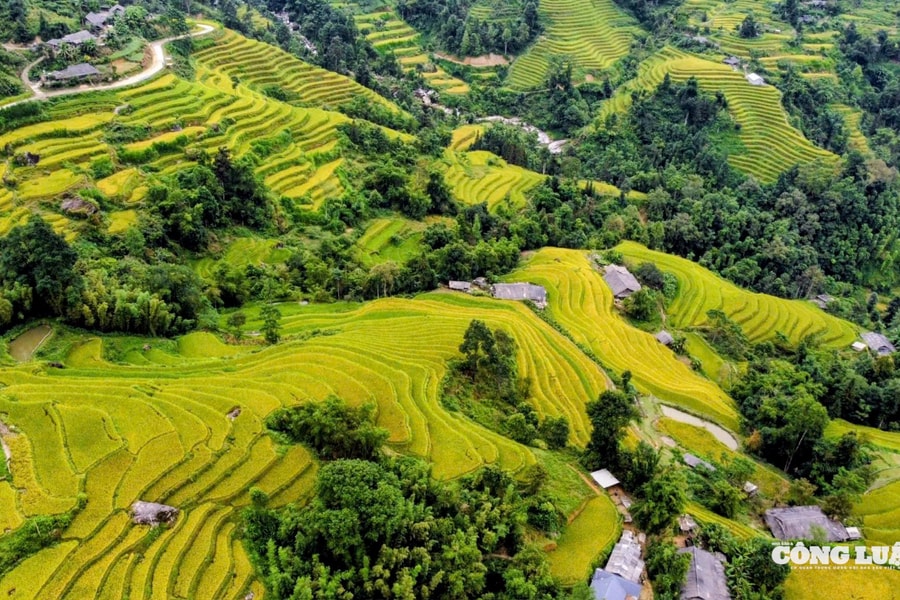 Ngắm mùa lúa chín Hoàng Su Phì trên dãy Tây Côn Lĩnh