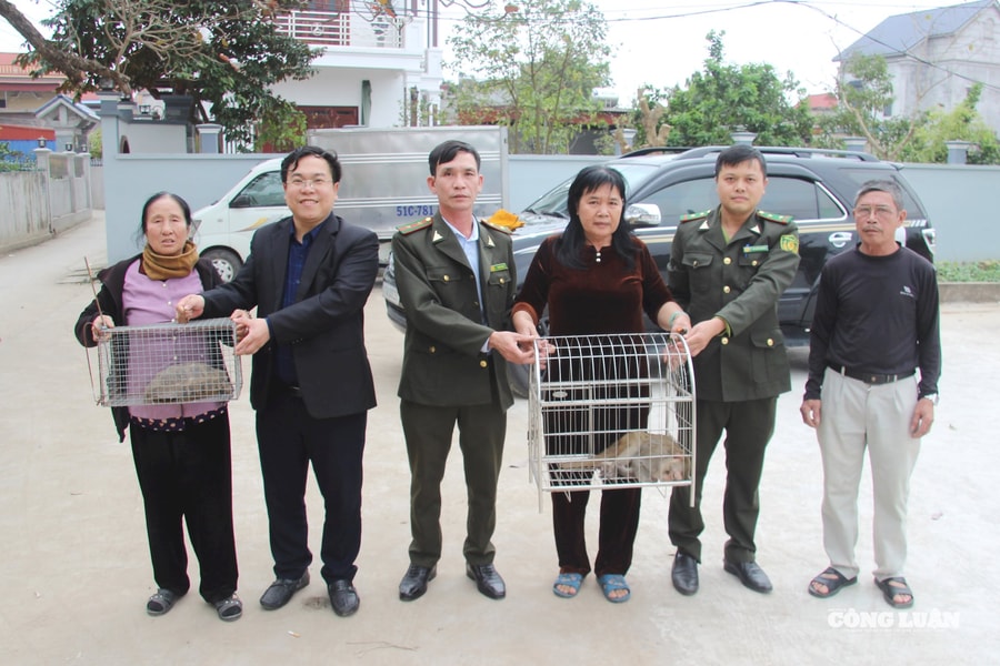 Hành trình hồi sinh: Phía sau những cuộc giải cứu động vật hoang dã của Kiểm lâm Hưng Yên