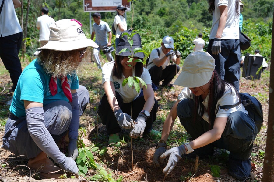 Trồng mới 2.000 cây xanh, làm dày “lá chắn xanh” cho Vườn quốc gia Xuân Liên