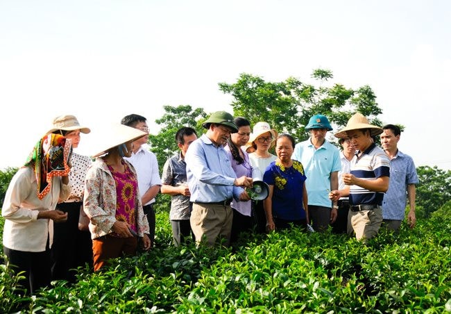 Thái Nguyên: Hỗ trợ giảm nghèo gắn với mục tiêu phát triển bền vững