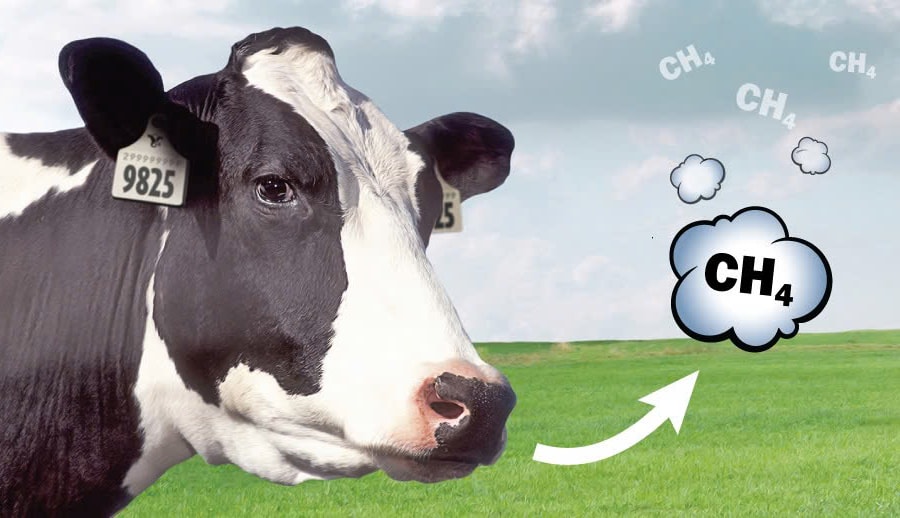 Việt Nam đặt mục tiêu giảm ít nhất 30% phát thải khí mê-tan vào năm 2030