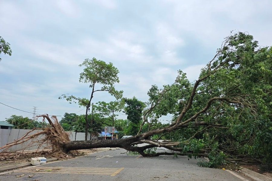 Hà Nội chủ động, tập trung ứng phó với siêu bão Ragasa