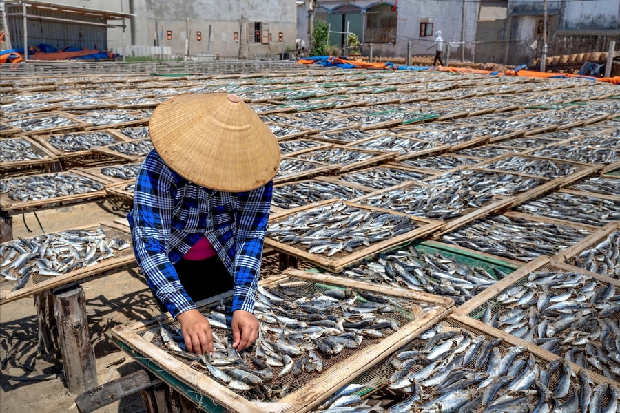 Hơn 98% cơ sở sản xuất, kinh doanh nông lâm thủy sản đạt chuẩn an toàn thực phẩm