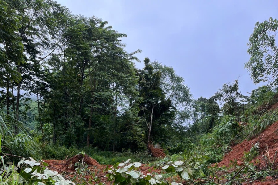 Quảng Ngãi: Mưa lớn, hàng trăm m3 đất, đá tràn xuống vùi lấp Tỉnh lộ 674