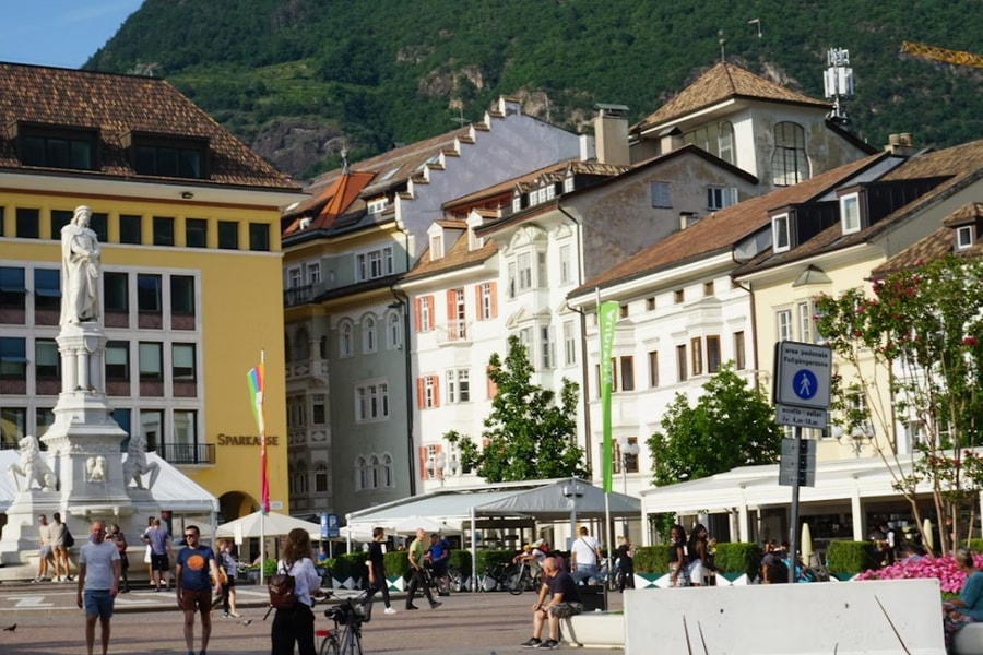 Những chú chó sẽ phải 'đóng thuế', đăng ký ADN tại thành phố của Ý