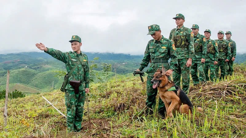 Quảng Ngãi: Người lính quân hàm xanh và cuộc chiến chống ma túy ở ngã ba biên giới
