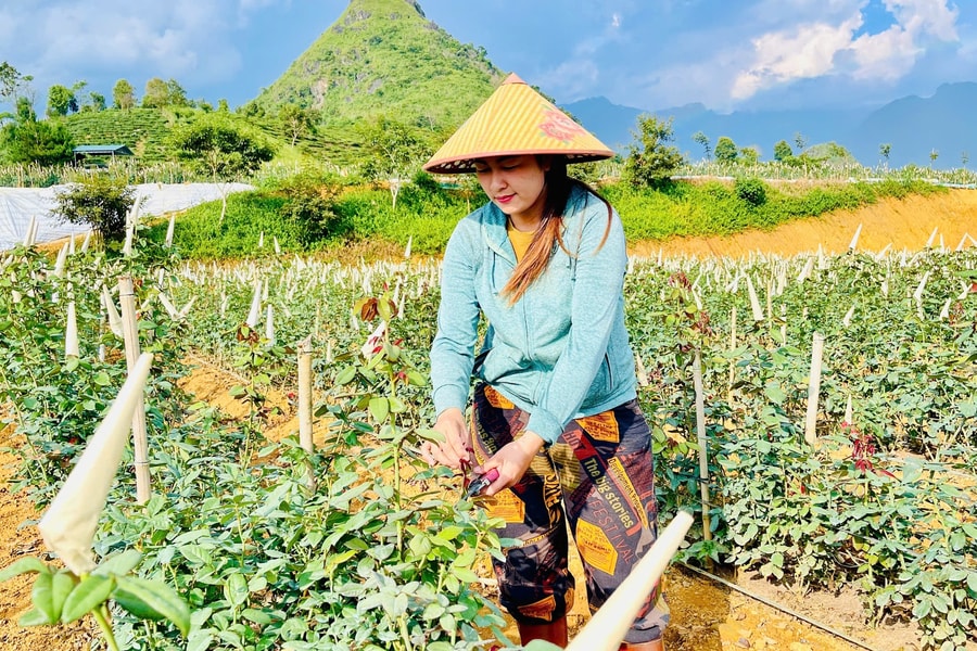 Thêm những cơ hội vươn lên thoát nghèo nhờ đa dạng hóa sinh kế ở Lai Châu