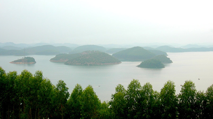 Lào Cai: Xử phạt một doanh nghiệp phá rừng tự nhiên trái phép thi công đường điện