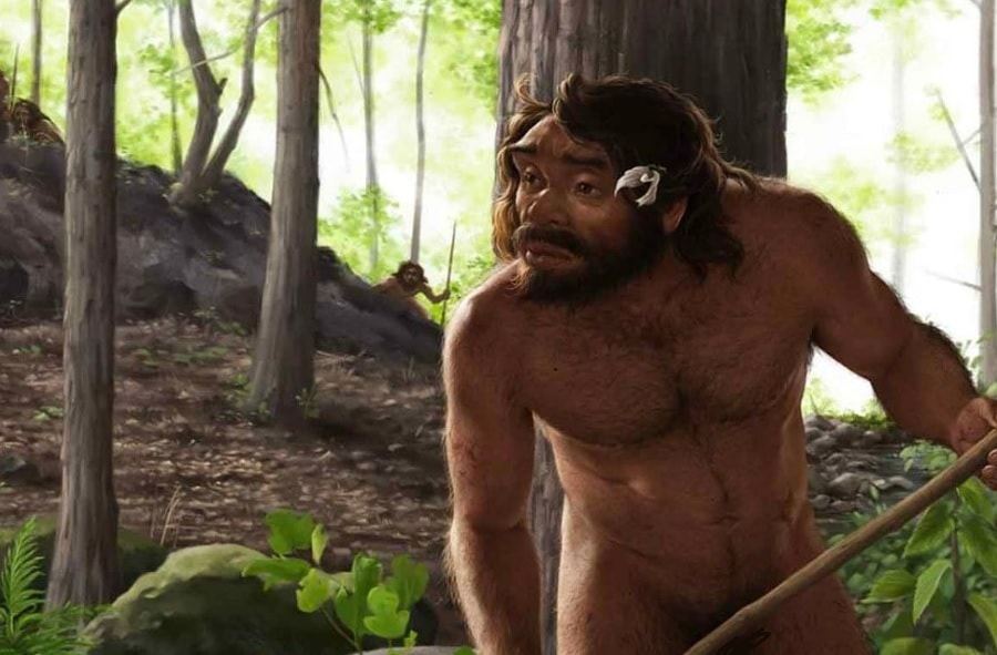 Hộp sọ 1 triệu năm tuổi ở Trung Quốc có thể viết lại lịch sử tiến hóa loài người