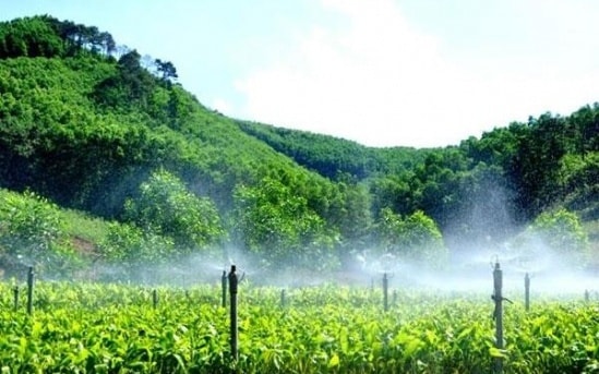 Quy định mới về phân bổ vốn phát triển kinh tế nông, lâm nghiệp bền vững