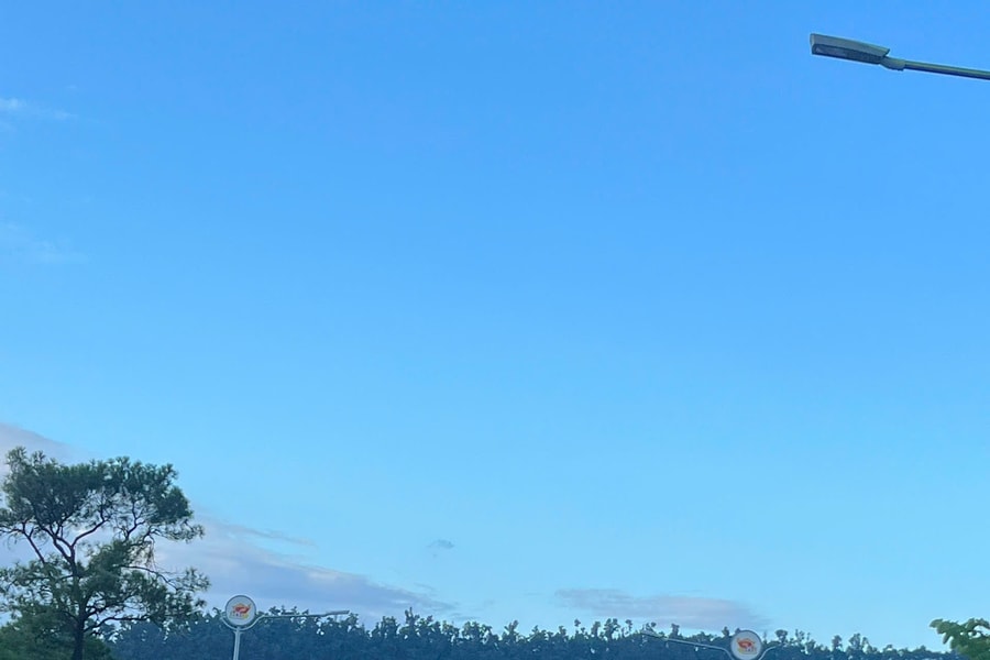 Hải Phòng tổ chức giải chạy chào mừng Đại hội Đảng bộ TP lần thứ I