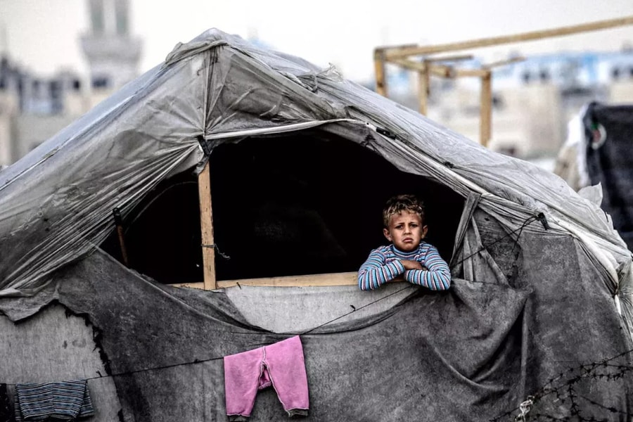 Israel và Hamas đồng ý ngừng bắn, hy vọng hòa bình được nhén lên ở Gaza