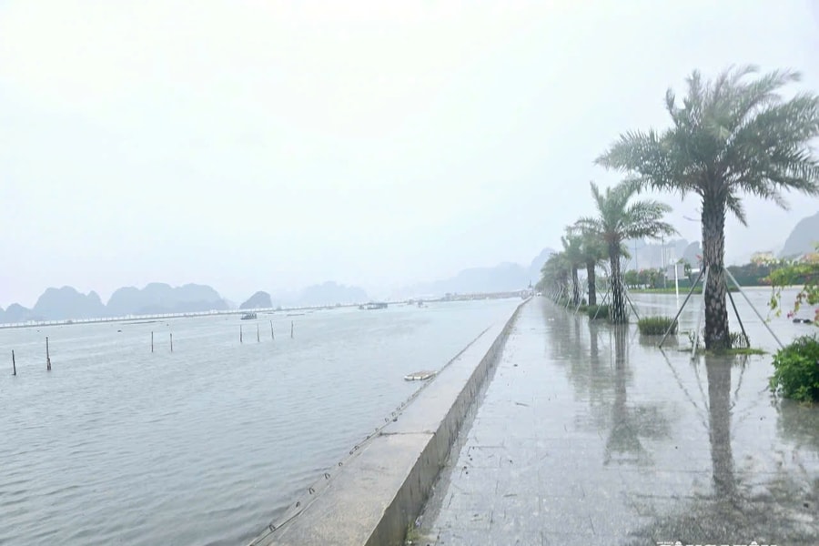 Mưa cực lớn, gió giật cấp 12 đe dọa Bắc Bộ