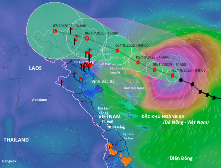Ninh Bình chủ động triển khai phương án ứng phó bão số 11