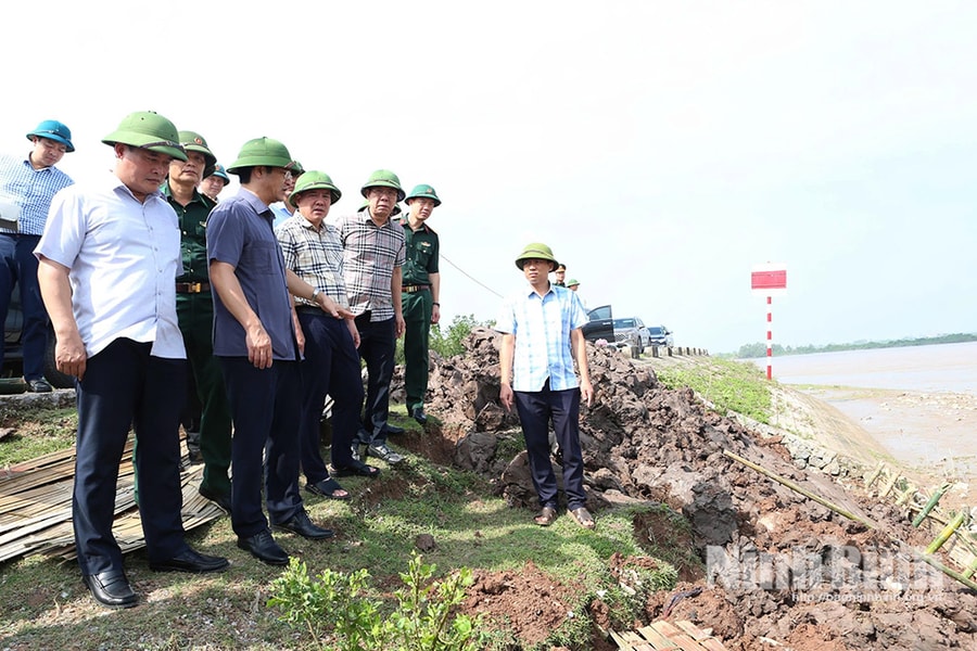 Công tác chuẩn bị ứng phó với bão số 11 (Matmo) tại Ninh Bình