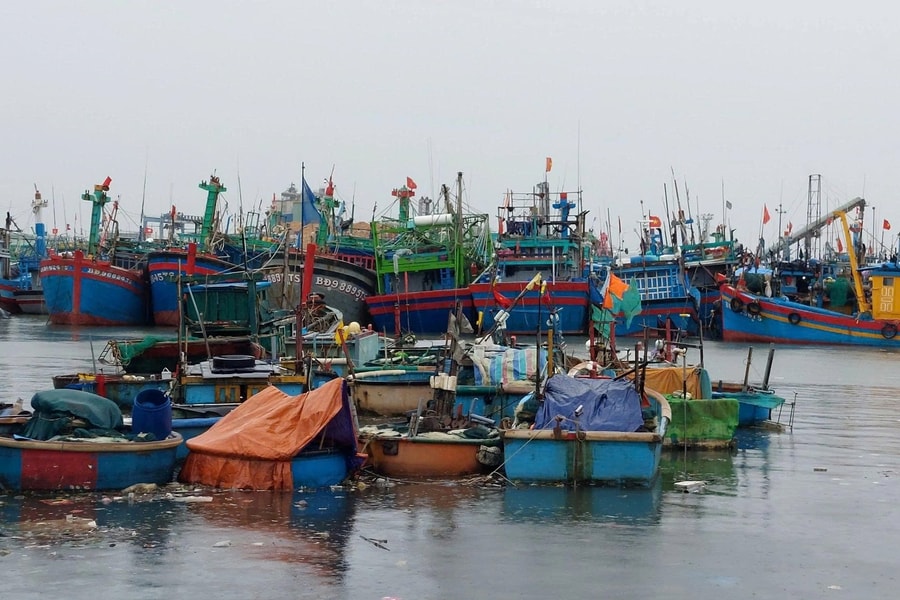 Tàu cá Gia Lai bị tàu chở dầu đâm chìm trên biển, thuyền trưởng mất tích