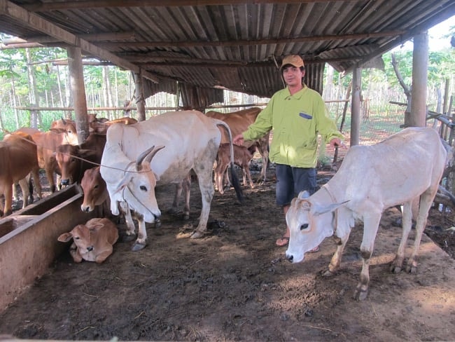 Bà Rịa – Vũng Tàu hoàn thành mục tiêu giảm nghèo sớm hơn kế hoạch