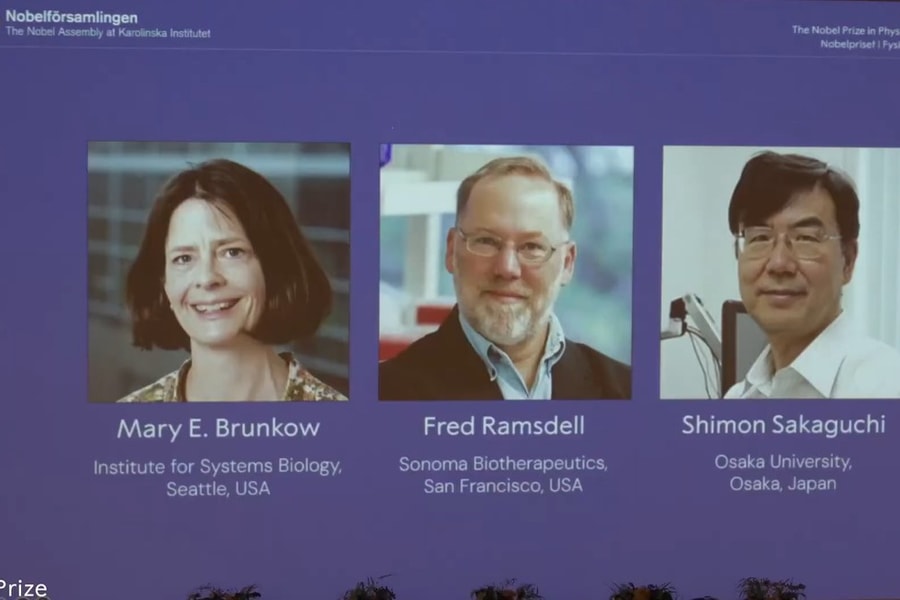 Ủy ban Nobel 'bó tay' không thể báo tin chiến thắng vì nhà khoa học đang 'ngoài vùng phủ sóng'