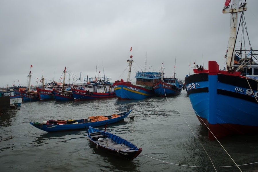 Vụ tàu cá Gia Lai chở 11 ngư dân bị đâm chìm trên biển: Tìm thấy thi thể thuyền trưởng