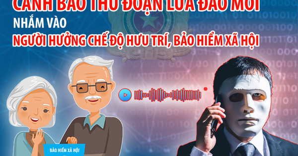 Toàn bộ số tiền nghỉ hưu trước tuổi 'không cánh mà bay' theo cán bộ bảo hiểm xã hội 'dỏm'