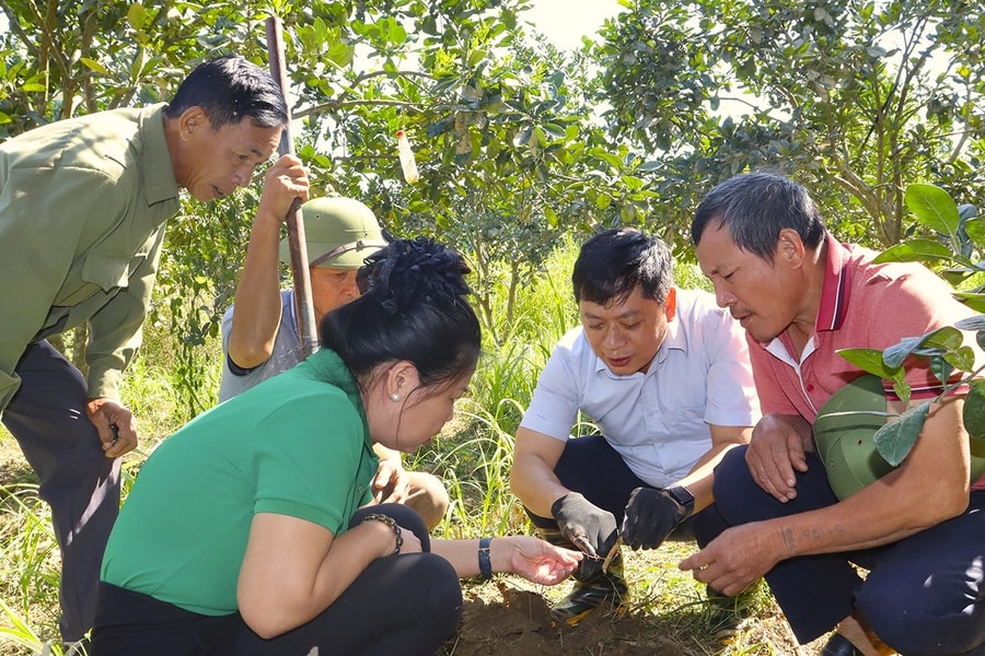 Cách làm hay và sáng tạo trong giảm nghèo bền vững ở Tuyên Quang