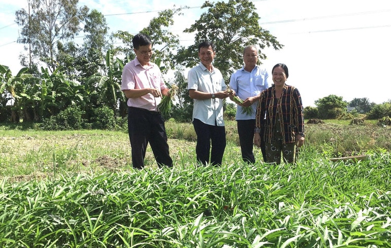 Cần Thơ quyết tâm giảm tỷ lệ hộ nghèo xuống còn 0,63% vào cuối năm 2025