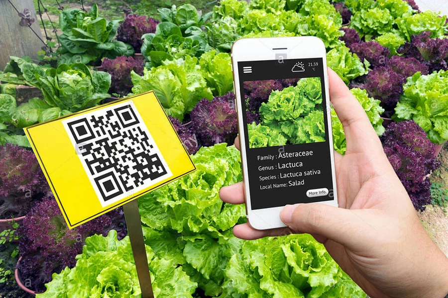 Chuyển đổi số, bệ đỡ giúp Tuyên Quang giảm nghèo nhanh và bền vững hơn