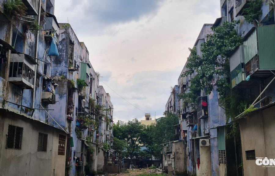 Đà Nẵng đầu tư hơn 1.300 tỷ đồng xây mới khu chung cư “ổ chuột”