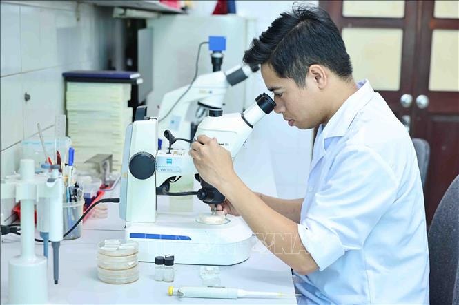 Ưu đãi “chưa từng có” dành cho nhà khoa học và kỹ sư trẻ tài năng