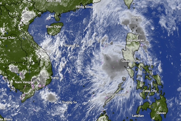 Biển Đông đón bão số 12, gió giật cấp 11