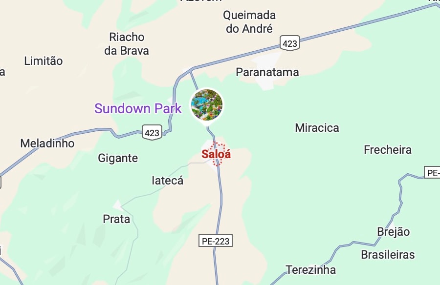 Ít nhất 15 người thiệt mạng sau vụ xe buýt lật ở Brazil