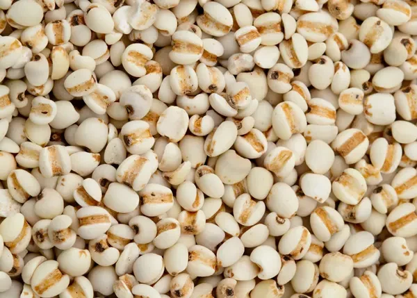 Bộ Y tế thu hồi lô dược liệu ý dĩ hỗ trợ điều trị ung thư không đạt chất lượng