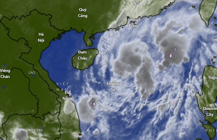 Bão số 12 tăng cấp, tiến gần vùng biển từ Quảng Trị đến Quảng Ngãi