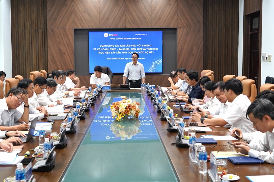 EVNSPC hoàn thành nhiều chỉ tiêu quan trọng về SXKD, tài chính