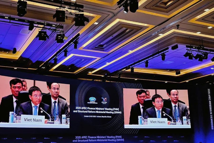 Việt Nam khẳng định vai trò tích cực trong hợp tác tài chính số và đổi mới sáng tạo tại APEC 2025