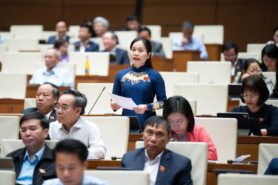 Cần quy định về thẩm quyền và hoạt động giám sát của Tổ đại biểu Hội đồng nhân dân