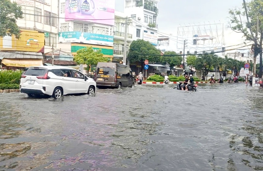 Cà Mau tập trung ứng phó với mưa lớn và triều cường