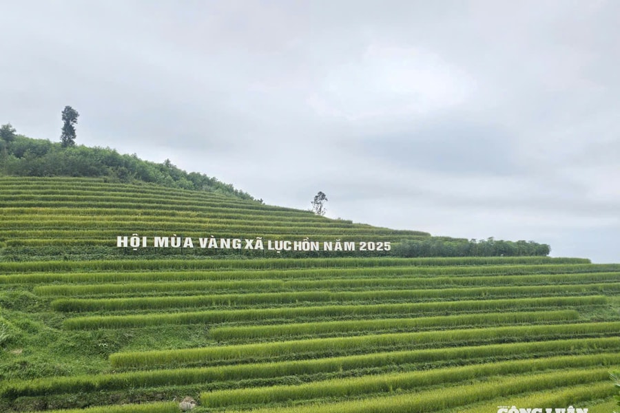 Hội Mùa vàng xã Lục Hồn: Khám phá ruộng bậc thang và trải nghiệm văn hóa Tày - Dao