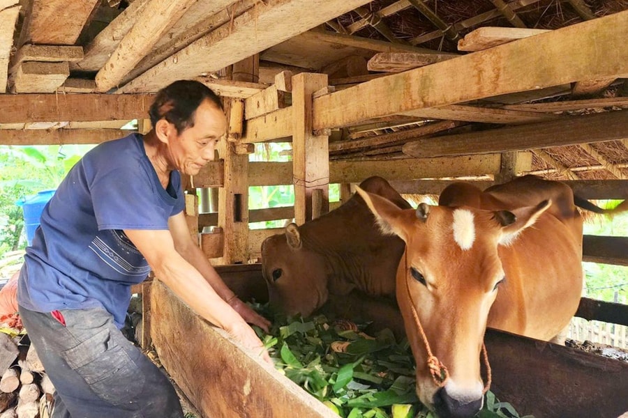 Cao Bằng: Giảm nghèo từ sự đồng lòng của chính quyền và Nhân dân