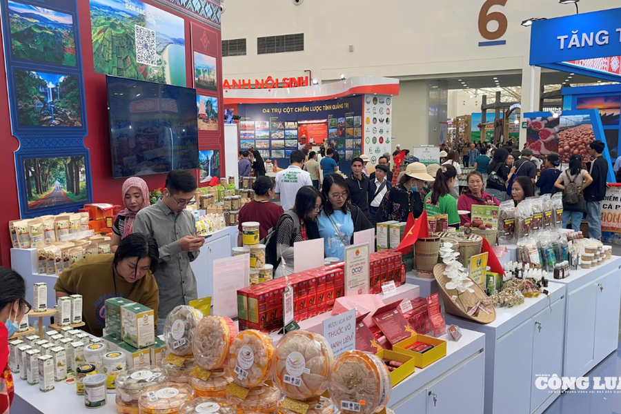 Khám phá 'Gia Lai thu nhỏ' tại Hội chợ Mùa thu 2025