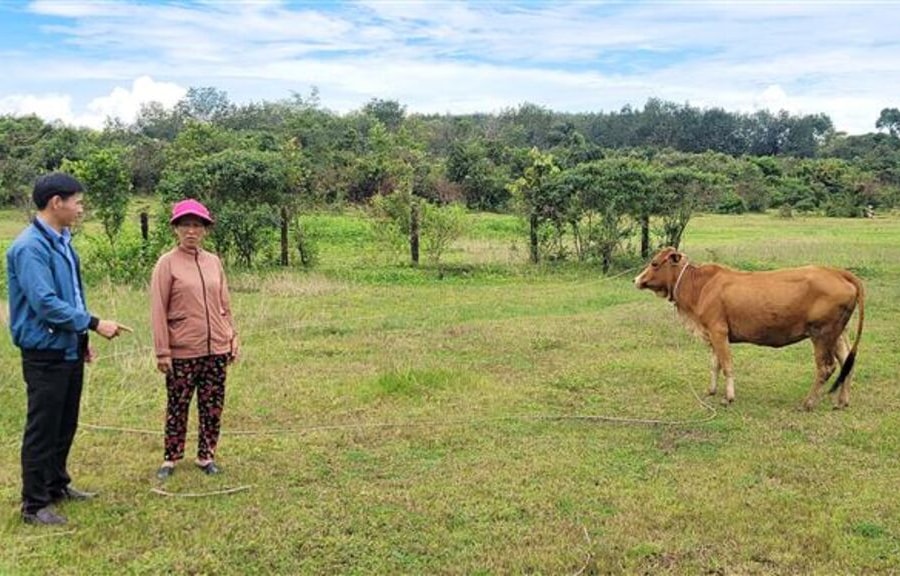 Gia Lai: Giảm nghèo thực chất – Xây dựng chính quyền phục vụ từ cơ sở