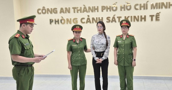 Vì sao diễn viên Trương Ngọc Ánh bị bắt?